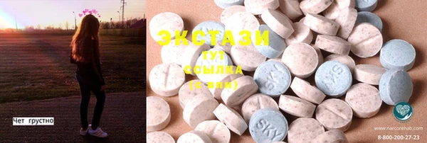 стаф Касимов