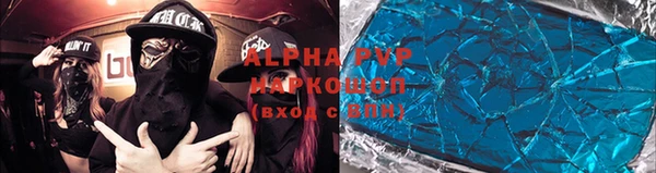 стаф Касимов