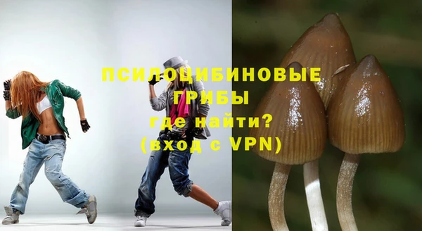 стаф Касимов