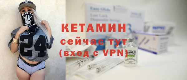 стаф Касимов