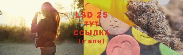 дмт Карпинск