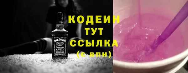 стаф Касимов