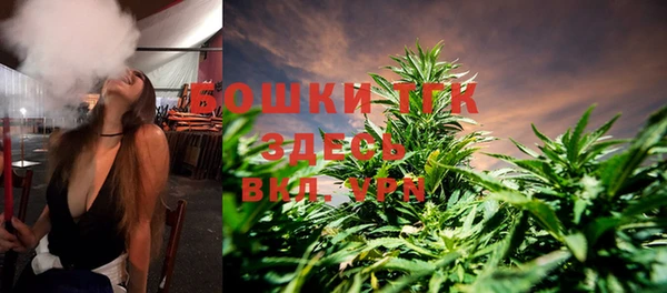 стаф Касимов