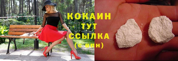 стаф Касимов