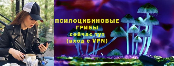 стаф Касимов