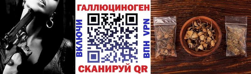 Купить  Белоозёрский  Псилоцибиновые грибы мицелий 